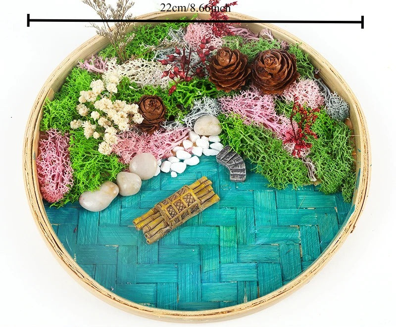 DIY Bamboo Weaving Plant Paintings