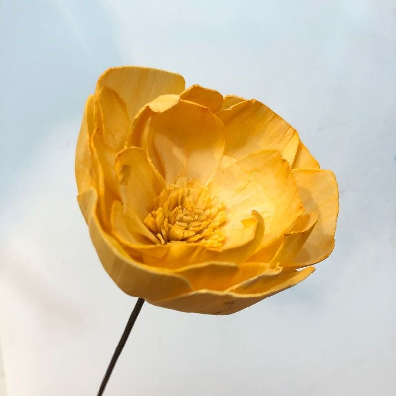 A flower that never fades - 我的商店