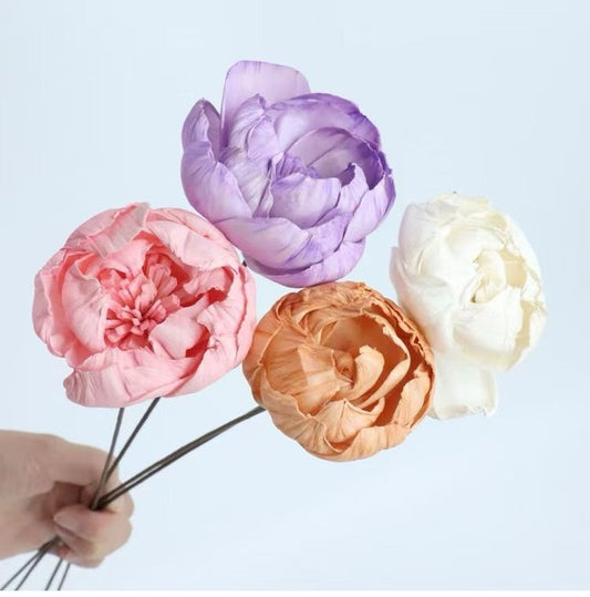 Tongcao Flowers: The Ever - Blooming Beauty of Art