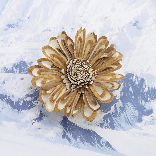 Tongcao Flower: An Art Interwoven by Ice, Snow, and Time