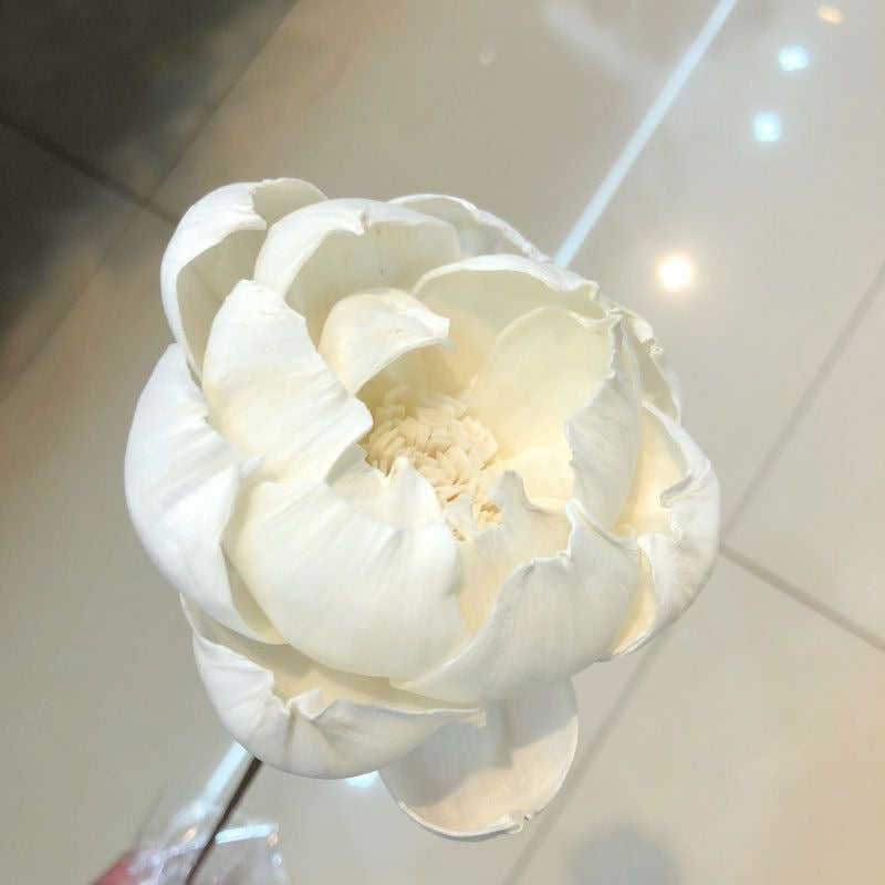 A flower that never fades - 我的商店