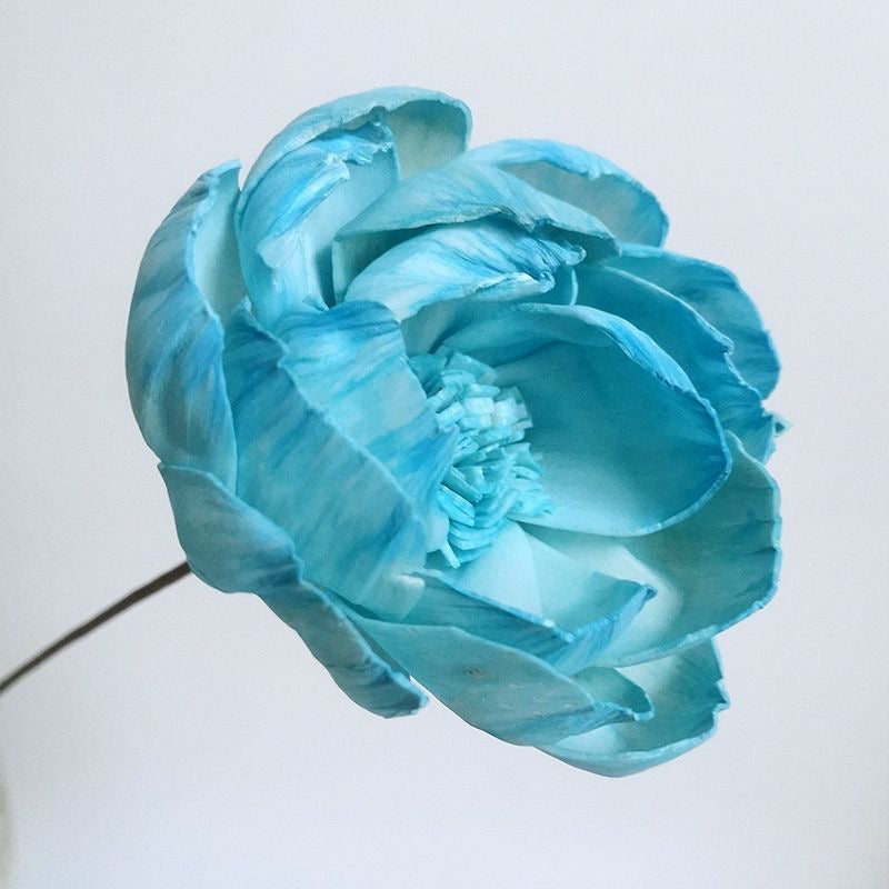 A flower that never fades - 我的商店