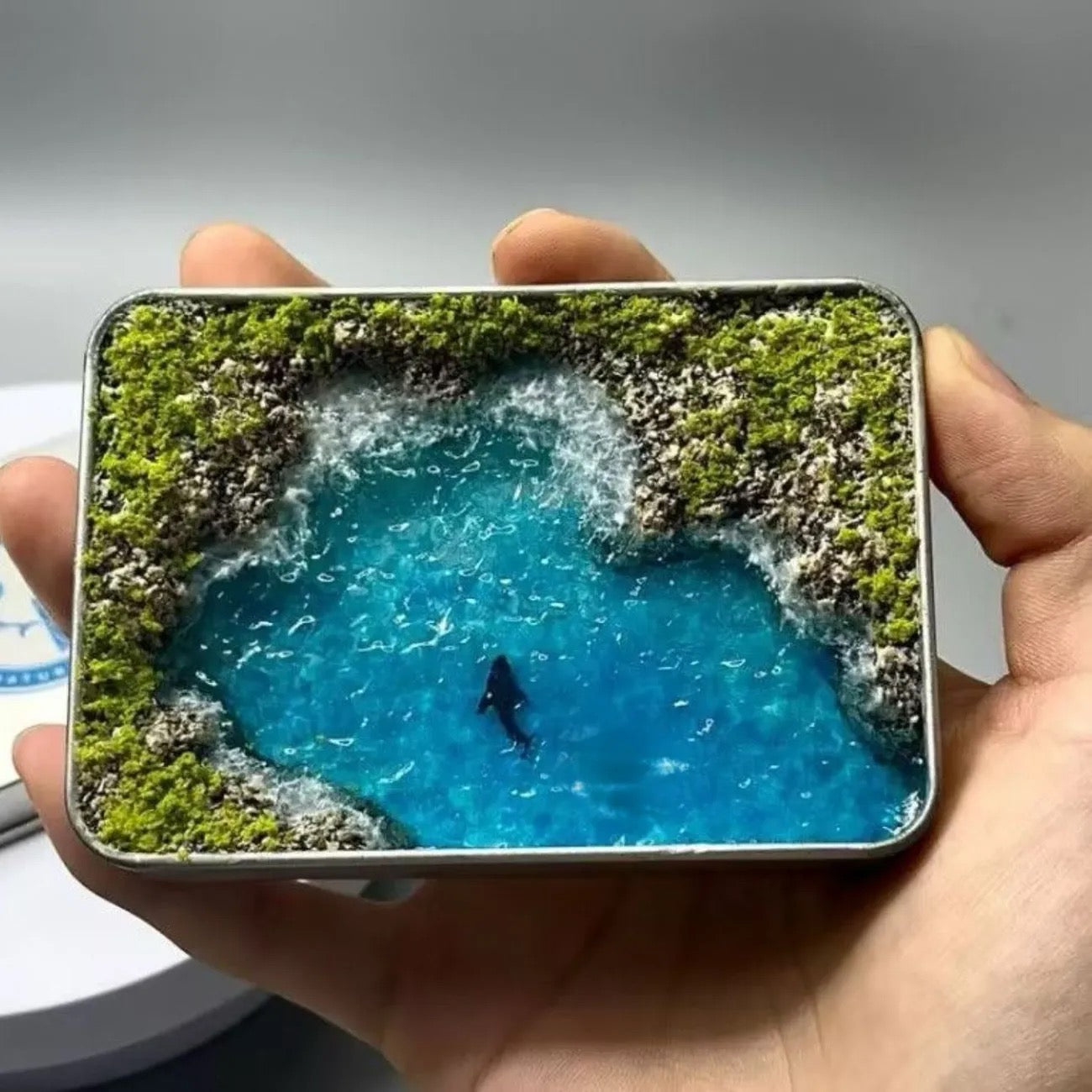 DIY Miniature Marine Landscape Ornaments