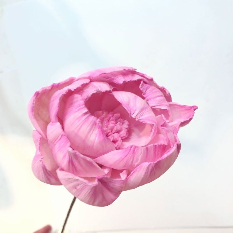 A flower that never fades - 我的商店